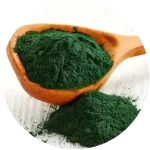 Espirulina.webp
